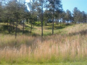 Lot 3 Pinehurst Blairsville GA